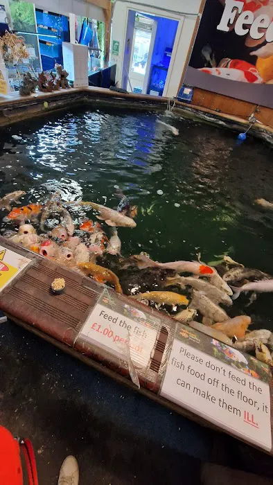 Maidenhead Aquatics Leeds South Picture 5