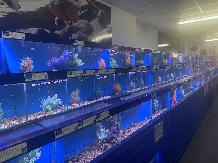 Maidenhead Aquatics Leeds South Picture 6