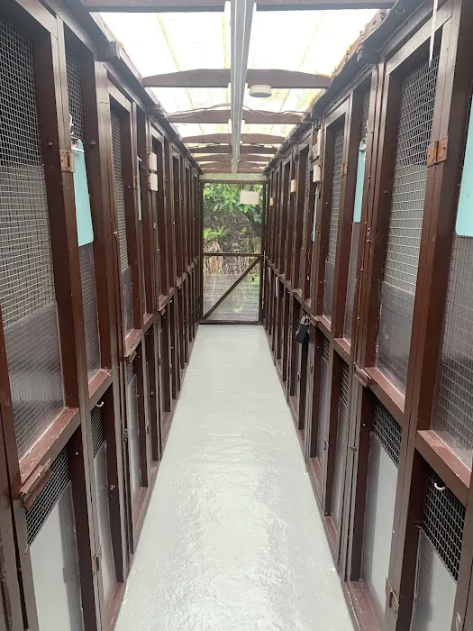 Warren House Cattery Picture 4