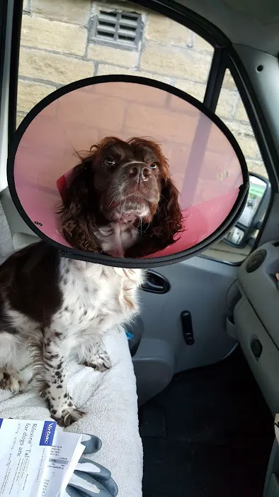 West Mount Vets - West Vale Picture 7