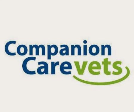 Companion Care - Huddersfield