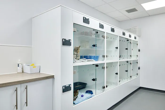 West Mount Vets - Huddersfield Picture 3