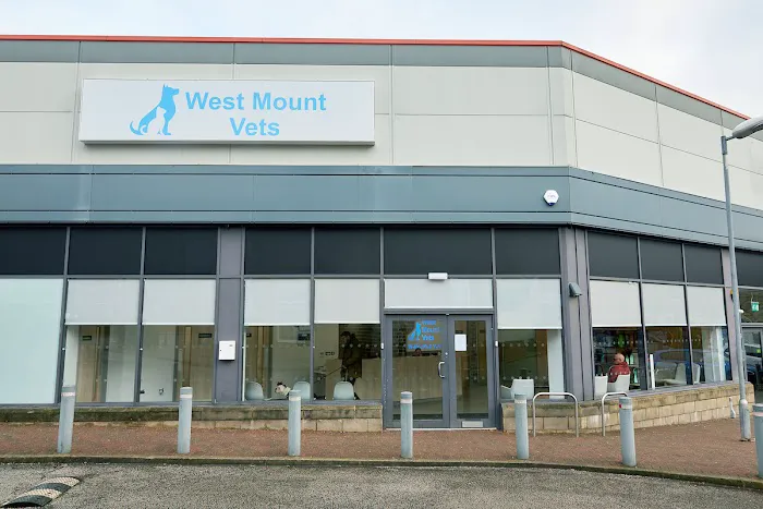 West Mount Vets - Huddersfield Picture 9