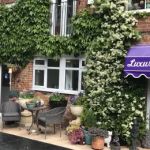 The Lodge Luxury Cat Hotel
