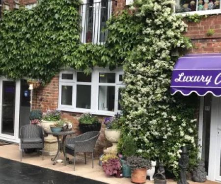 The Lodge Luxury Cat Hotel