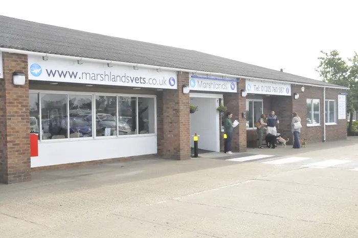 Freiston Veterinary Centre Picture 3