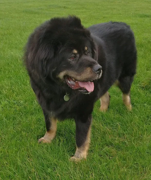 Freiston Veterinary Centre Picture 8