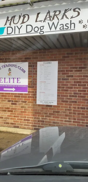Freiston Veterinary Centre Picture 10