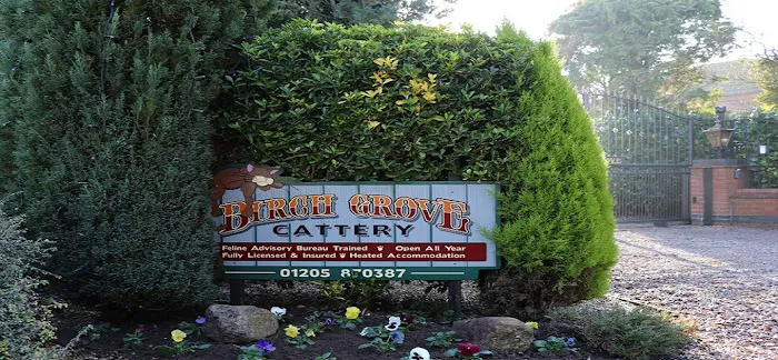 Birch Grove Cattery Picture 2