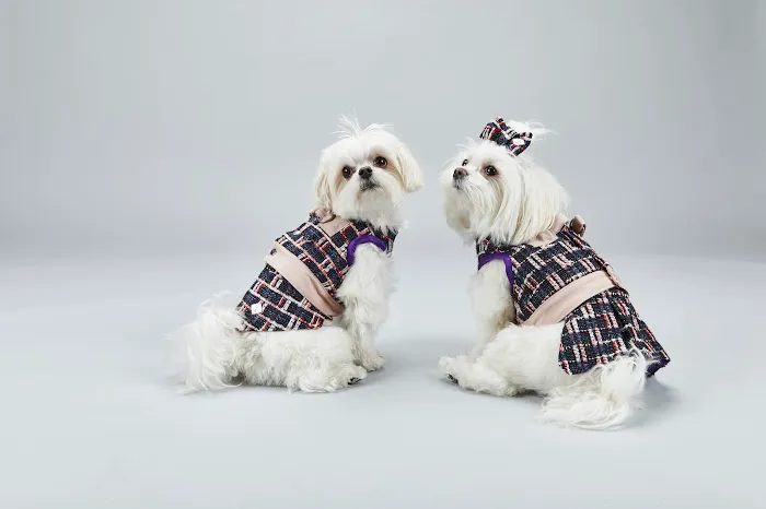 Hercabella Limited Picture 1