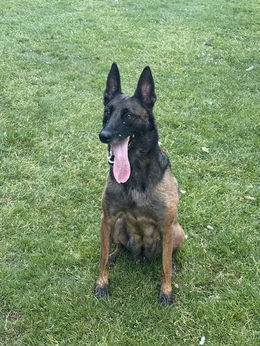Breeder Imaging Services Picture 3
