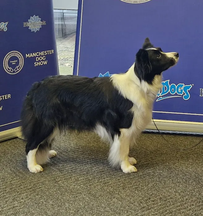 Breeder Imaging Services Picture 4
