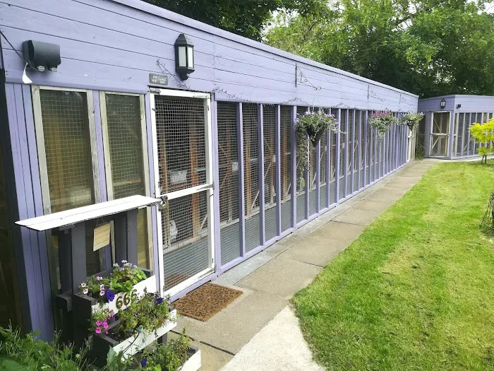 Furballs Cattery Picture 1