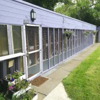 Furballs Cattery ico