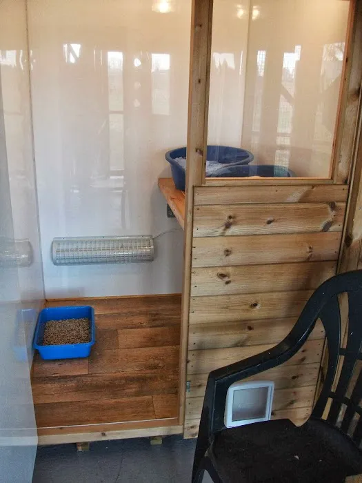 Furballs Cattery Picture 6