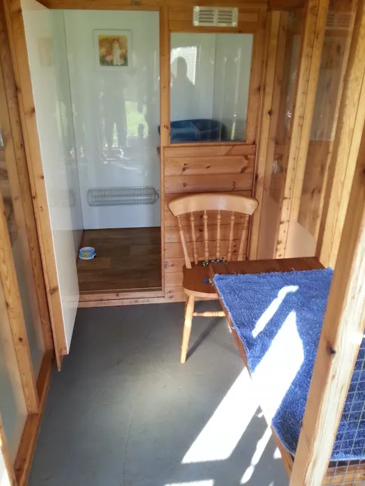 Furballs Cattery Picture 9