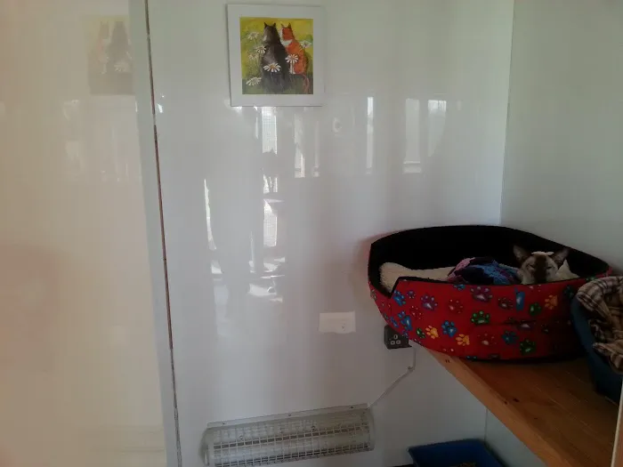 Furballs Cattery Picture 8