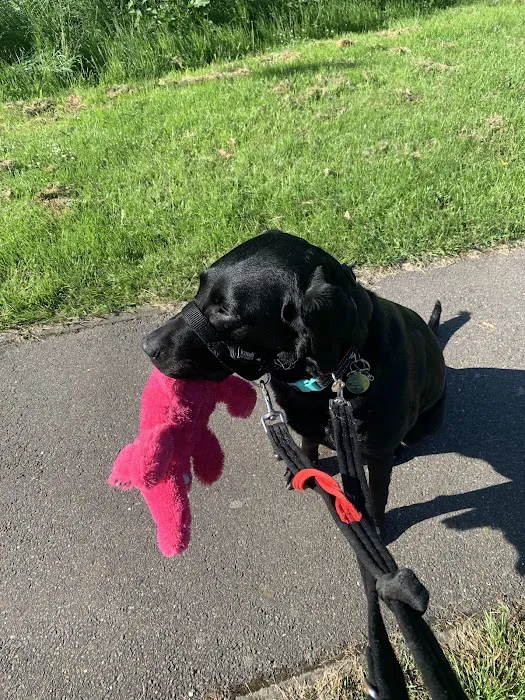 Medivet Boston Picture 1