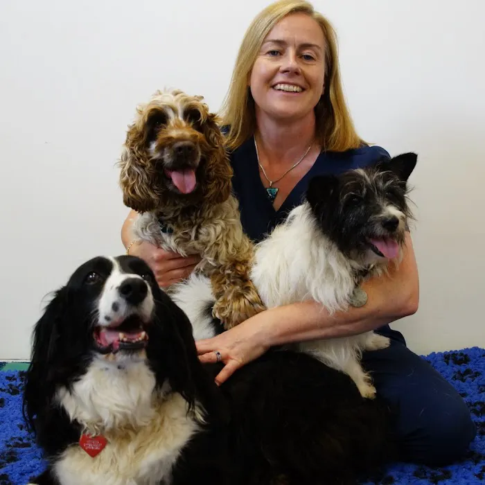 Holistic Pet Picture 7