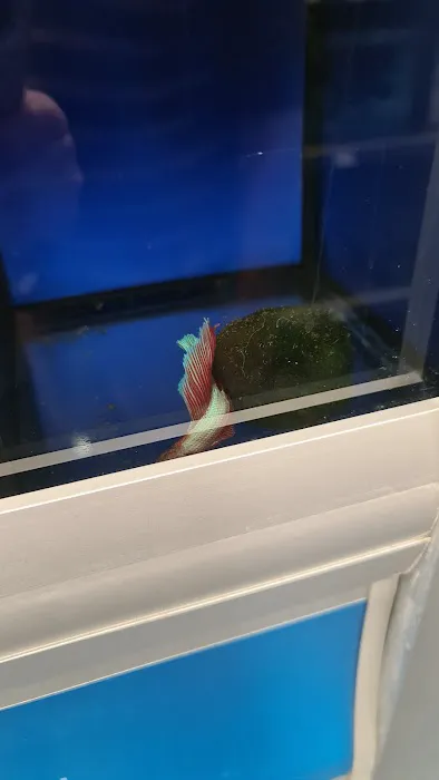 Pets at Home Scarborough Picture 8