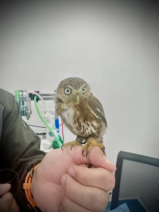 Origin vets clinic Picture 1