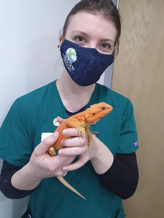 Origin vets clinic Picture 4