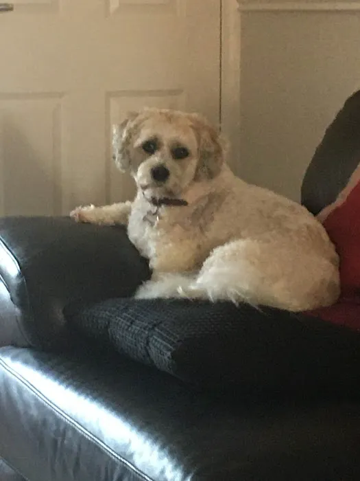 Gonda's Veterinary Practice Picture 10