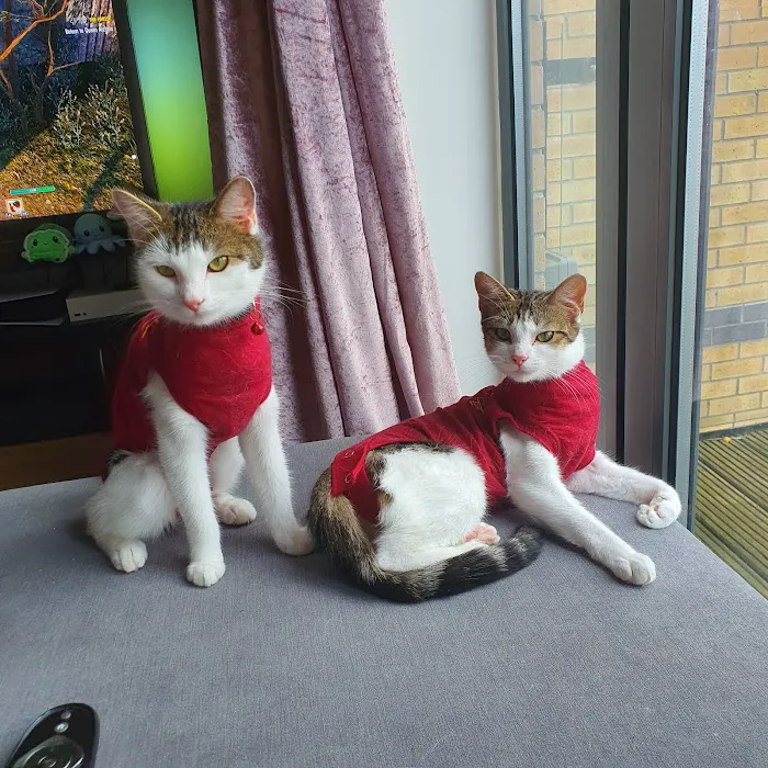 Donaldson's Vets Ltd Picture 3