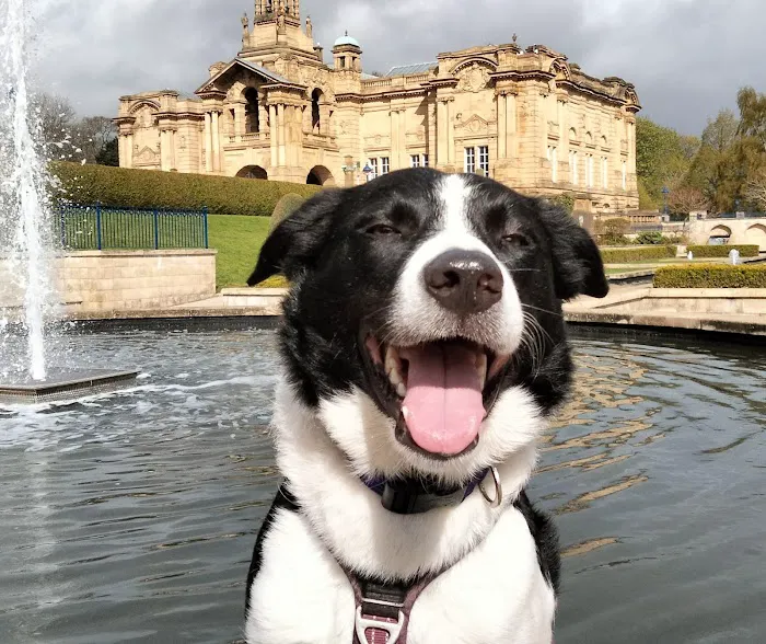 Donaldson's Vets Ltd Picture 4