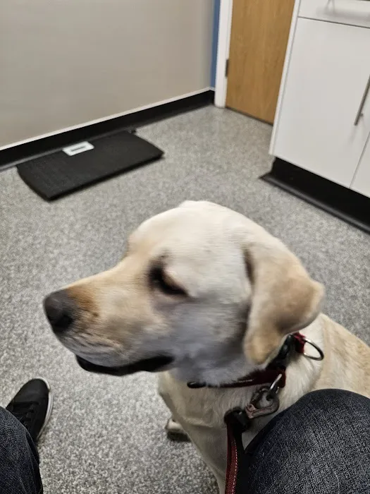 Donaldson's Vets Ltd Picture 7