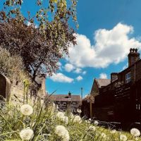 Vets for Pets - Huddersfield ico