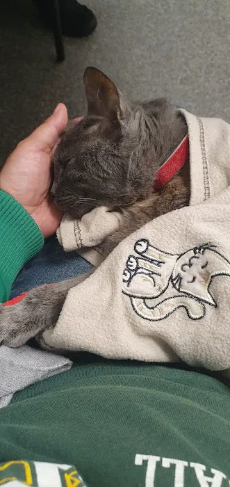 My Home Vet - mobile vet team Picture 7