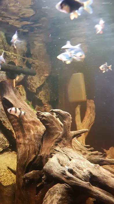 The Fish Shop Picture 3