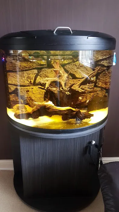 The Fish Shop Picture 4