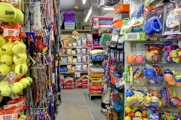 Hills Pet Shop Picture 5