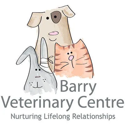 Barry Veterinary Centre Picture 3