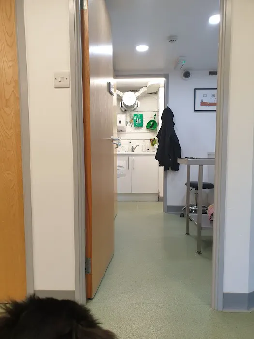 Vale Veterinary Centre Barry Picture 4