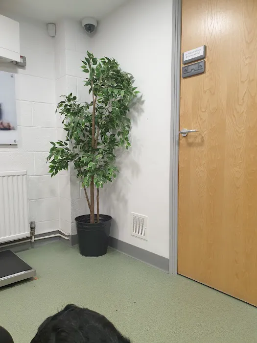 Vale Veterinary Centre Barry Picture 7