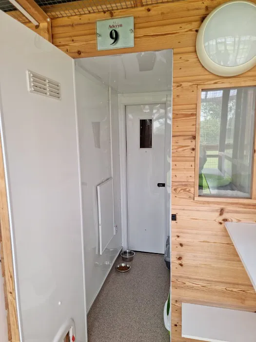 Aderyn Cat Resort Picture 1