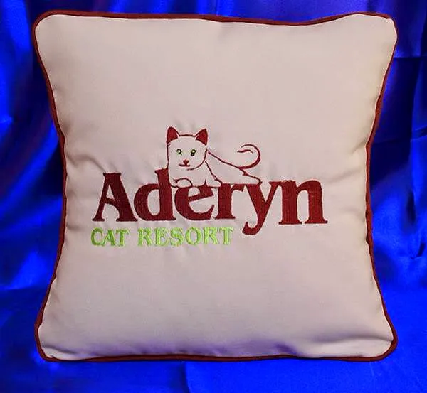 Aderyn Cat Resort Picture 8