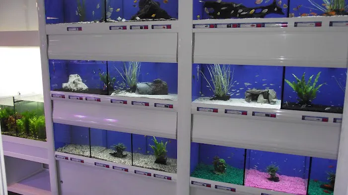 Marine Fish Shop Picture 2