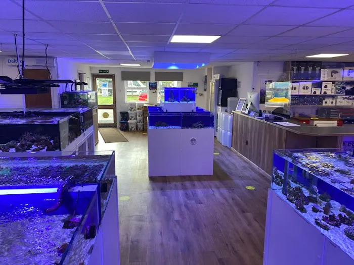 Marine Fish Shop Picture 10