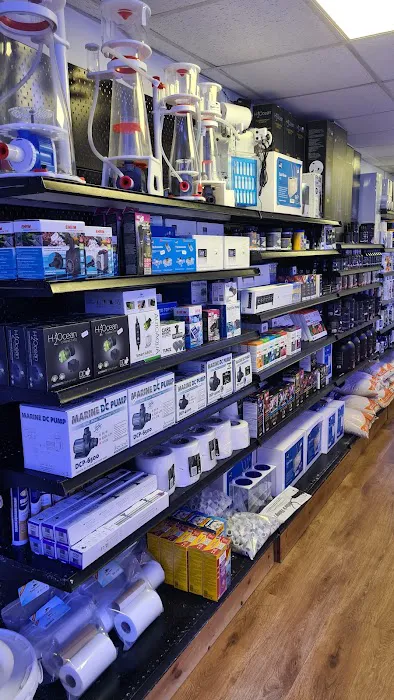 Marine Fish Shop Picture 4