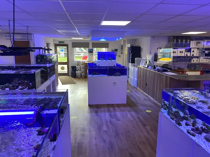 Marine Fish Shop Picture 8