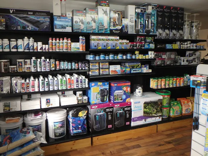 Marine Fish Shop Picture 7