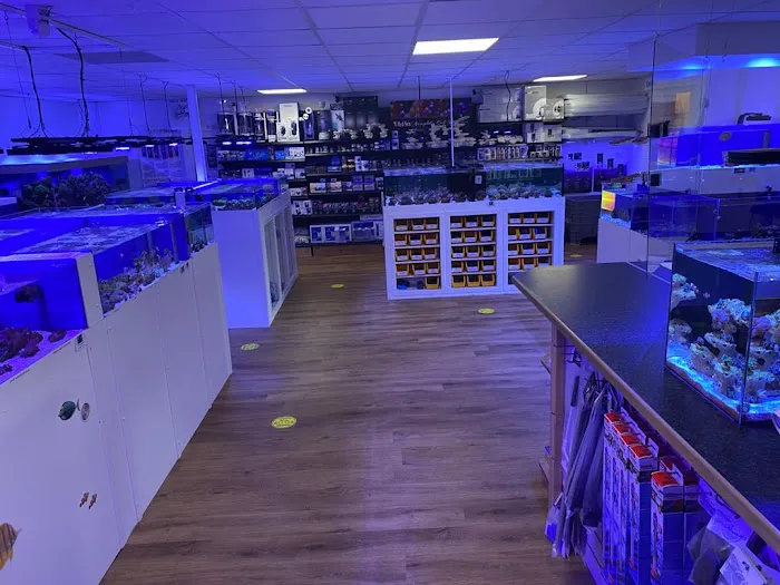 Marine Fish Shop Picture 1