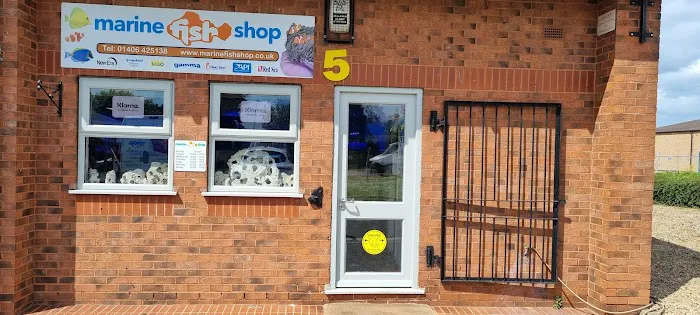 Marine Fish Shop Picture 3