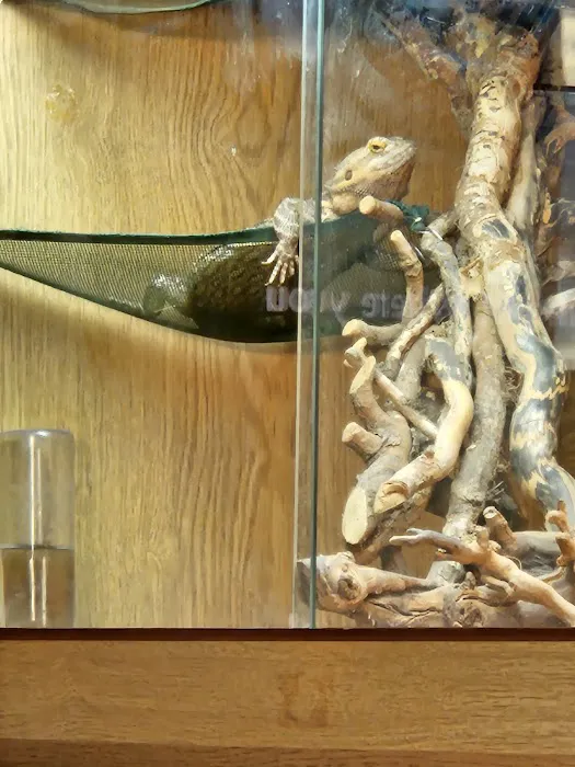 The Pet Shed Picture 1