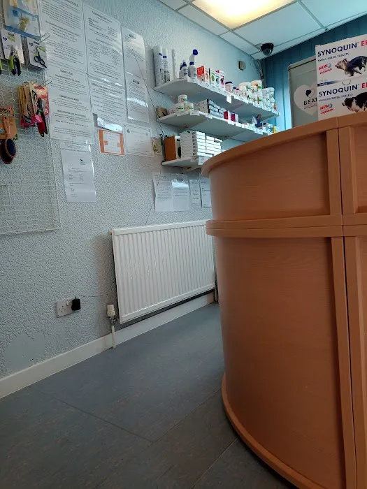 Abbey Vets Picture 3