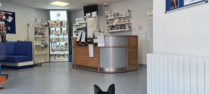 Abbey Vets Picture 3